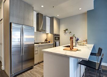 Sleek Stainless Steel Appliances at 640 North Wells, Chicago